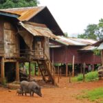 Einfache Holzhütten in einem Dorf auf dem Bolaven Plateau Laos