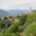 Blick auf das Dorf Bussana Vecchia in grünen Hügeln