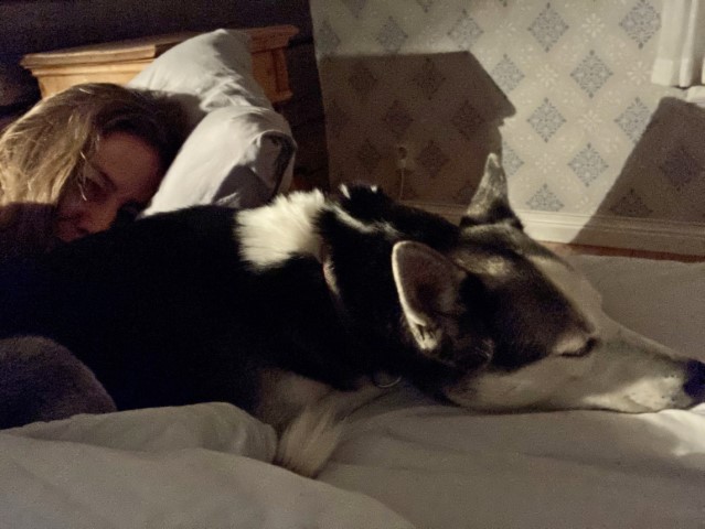 Frau mit Husky im Bett