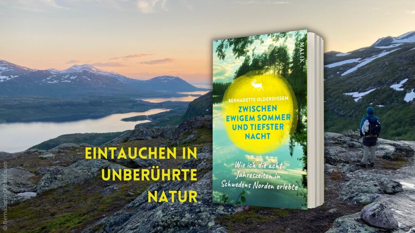 Buch Zwischen ewigem Sommer und tiefster Nacht vor einer Bergkulisse in Schwedisch Lappland
